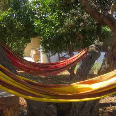 Cool Villa with Sea Views. Swimming Pool and only 10 minutes from the sea Others