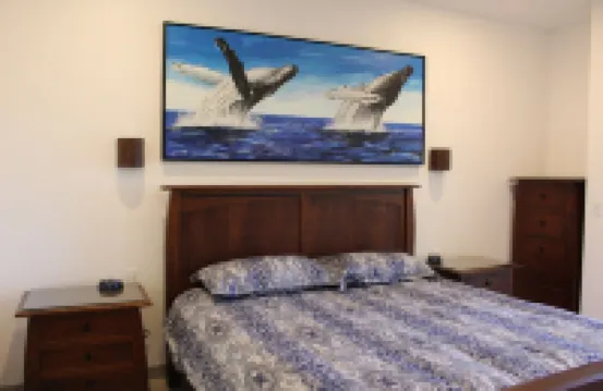 Misiones del Cabo 4206. 1BR Completely Remodeled Ocean View Condo!