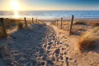 Boutique apartment with sea view, beach 50 meters Hotels in Zandvoort