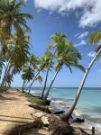 Tropical Private Condo in Playa Bonita! 3 min walk to beach.
