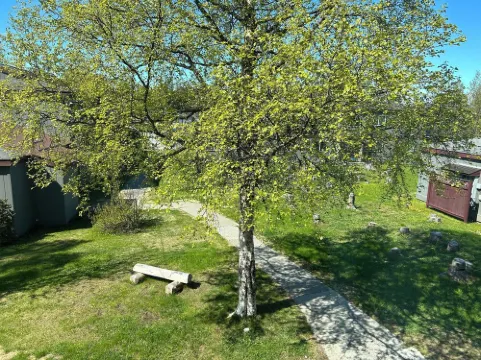 1.5 Miles from the Mouth of the Kenai River.  in the Heart of Kenai!