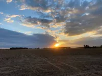 A Rustic Delta Cabin Hotels in Phillips County