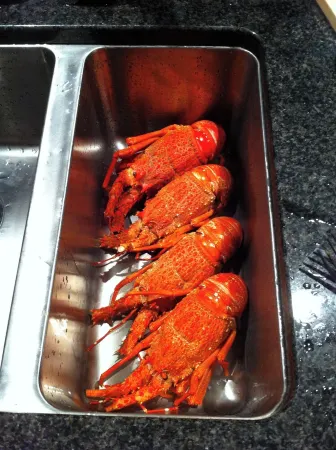 Spacious 6-Bedroom Home with Mountain Views, WIFI, Decks & Ample Parking Отели рядом с достопримечательностью «Point Kean Viewpoint»