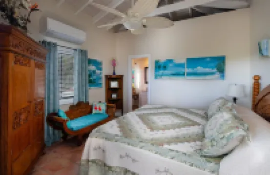 4 large bedrooms/4 full bathrooms. Pool/Beautiful Ocean views/hot tub. Cruz Bay!