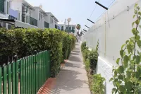 Dune green flower Maspalomas Hotel a Comarca Sur