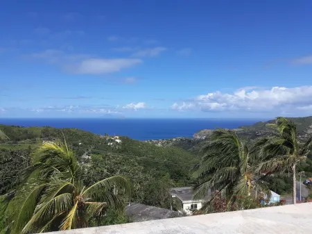 Spacious 1 bedroom Apartment to rent in Montserrat West Indies. Отели в г. Cudjoehead