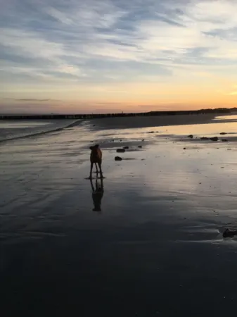 Chalet SUNDOWNER only 450 meters to the beach