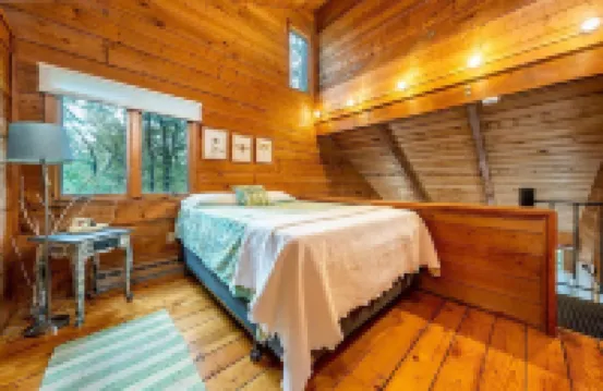 Welcome to Wellfleet! Classically Modern, Woodsy and Serene.