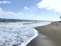 NEW! LABOR DAY SALE - On Beach w/Pool also near Rainforest! Views from terrace!