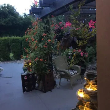 Mountain view, beautiful walk out suite overlooking a park and creek. 3bedrooms.