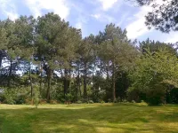 Architect house on the banks of the Auray river on 2000 m2 of pine forest