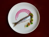 Hotel & Restaurant de Fortuna Hotels in Edam-Volendam