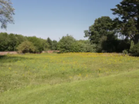 マイス エルウィ セント・アサフのホテル