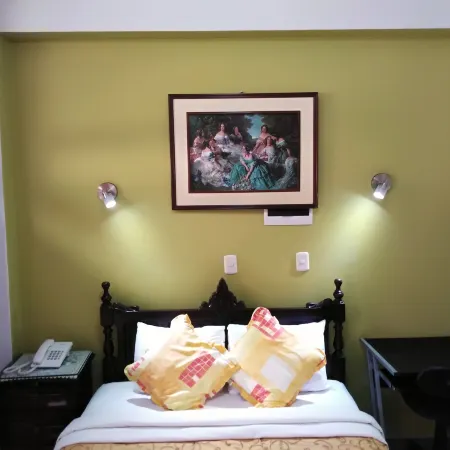 Hotel Plaza Bolognesi 344