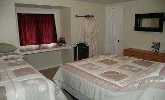 Teddy Bear Bed & Breakfast - Hizvo