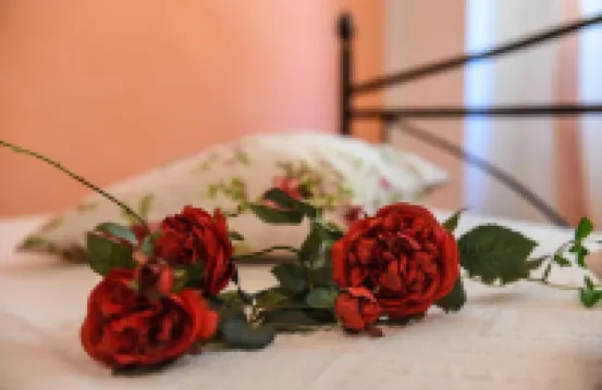 B&B Villa Sophie
