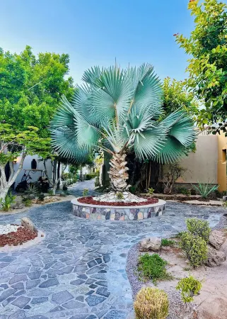 Beautiful 2 Bed, 2 Bath Casa Steps From The Beach & Pools In Loreto Bay