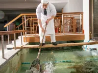 Hatsushiro Các khách sạn ở Ashiya