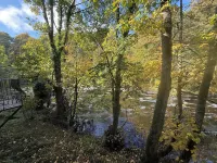 Luxury Riverside Cottage by Aysgarth Falls: Perfect for Walkers & Nature Lovers