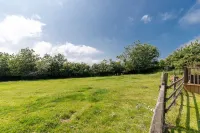Hedgerow at Gorslwyd - Sound Retreat