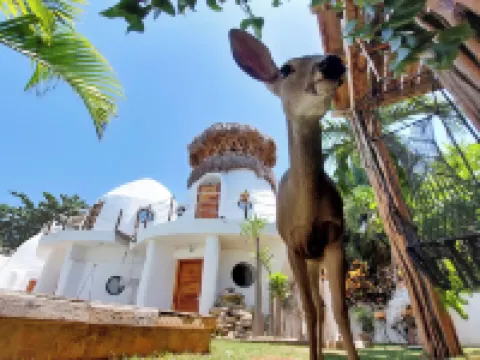 คาจาล คีน โรงแรมในทิซิมิน