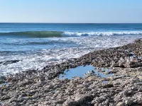 Quiet vacation home on the edge of the national forest, 600m from the sea