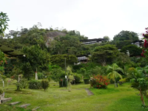 Natubri Ecohotel Hotels in 