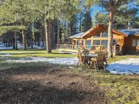 Welcome to Cozy Doo's Casa -A Warm, Woodsy Getaway in Angel Fire, NM
