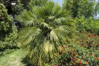 La Quercia: apartment with pool, garden, parking, WiFi, pets allowed Hotels in Montalto di Castro