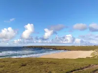 Recently Renovated Spacious 3-bedroom House in Extensive Gardens