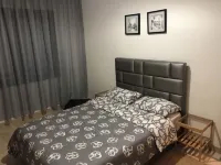 Luxury flat near airport Early & late flight