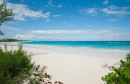 米斯魯比4卧室的家