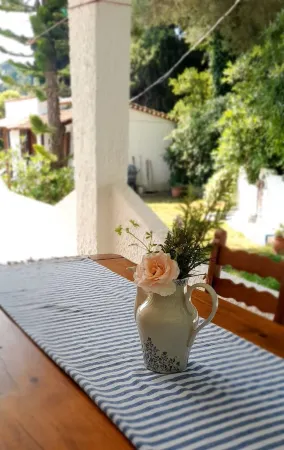 Charming studio in lovely Skiathos with WiFi, AC 400 m from Trulos beach