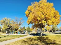 PET AND FAMILY FRIENDLY I HEART COLORADO HOME Hotels in Arvada