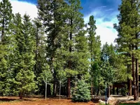 Mountain Top Luxury Retreat - Elegant Cabin Near Zion and Bryce Hotels in Kane County