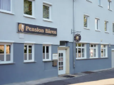 ホテル ベーレン ヘッヒンゲンのホテル