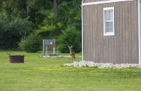 Modern Cottage Cabin, private area with pond, fishing nearby, swimming and more Hotels in Giard