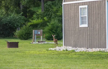 Modern Cottage Cabin, private area with pond, fishing nearby, swimming and more Отели в г. Clayton County