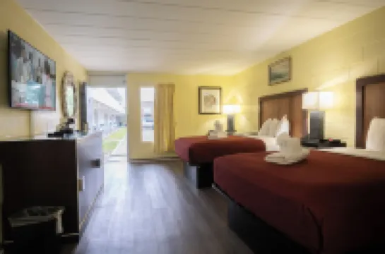 하트 오브 만테오 모터 로지