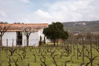 Imago Houses 2 - by MET