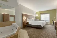 Holiday Inn Express & Suites Binghamton University-Vestal Hotels in Owego