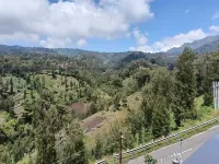 Pulmo Guesthouse Bromo - Mountain view