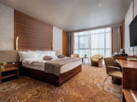 Rin Airport Hotel Hotels in Otopeni