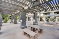 有陽台和泳池通道：安靜的西錢德勒公寓 - 廚房