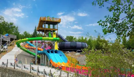 3 Bedroom, 2 Bath Secluded Old Forge Log Cabin