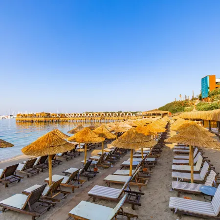 Laur Hotels Experience & Elegance