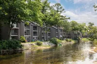 Waterfront Studio, newly renovated, A Cool Studio, Glen Arbor M22 Crystal River