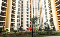 Residences at Daya by SR Home