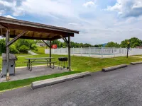 Econo Lodge Woodstock - Shenandoah Valley I-81 Hotels in Shenandoah County