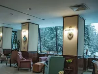 Hotel Belvedere Hotels in Predeal